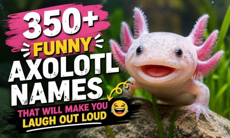 funny-axolotl-names