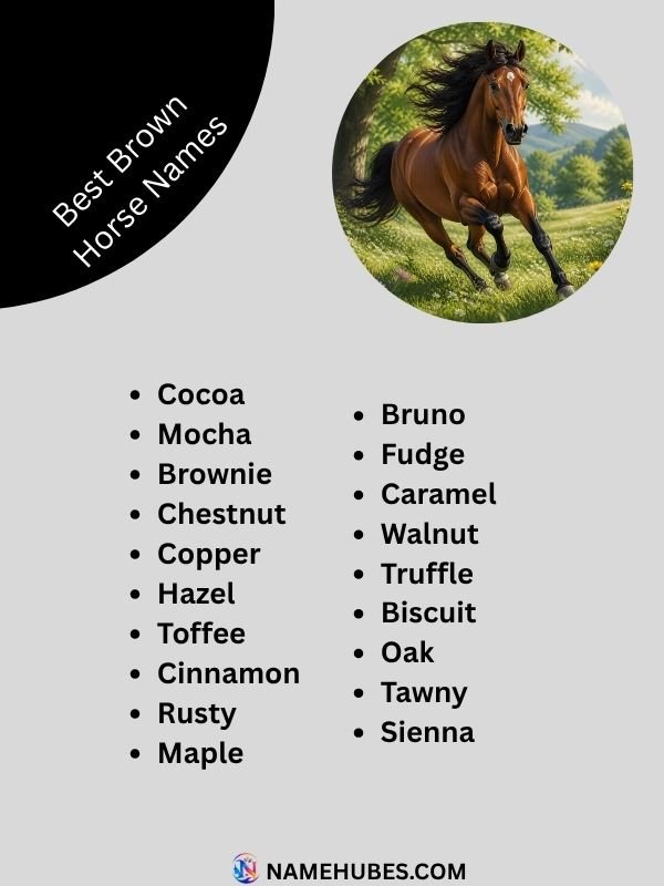 best-brown-horse-names