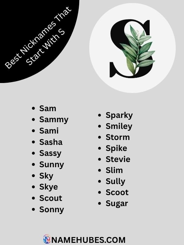 best-nicknames-that-start-with-s