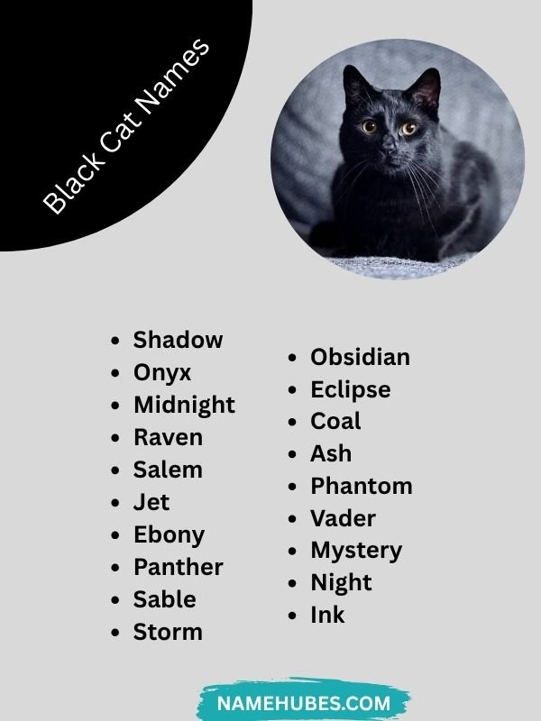 black-cat-names
