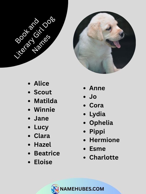 book-and-literary-girl-dog-names