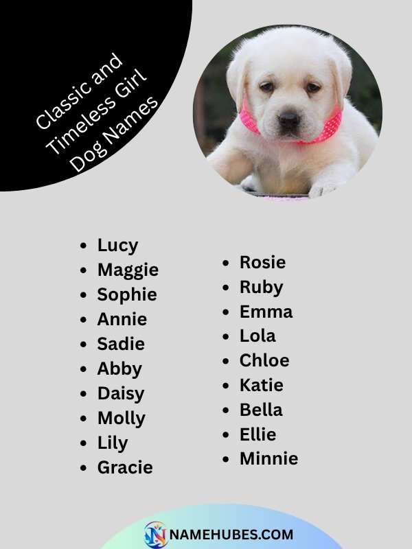 classic-and-timeless-girl-dog-names