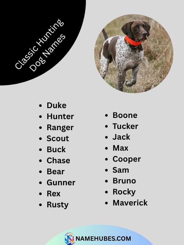 classic-hunting-dog-names