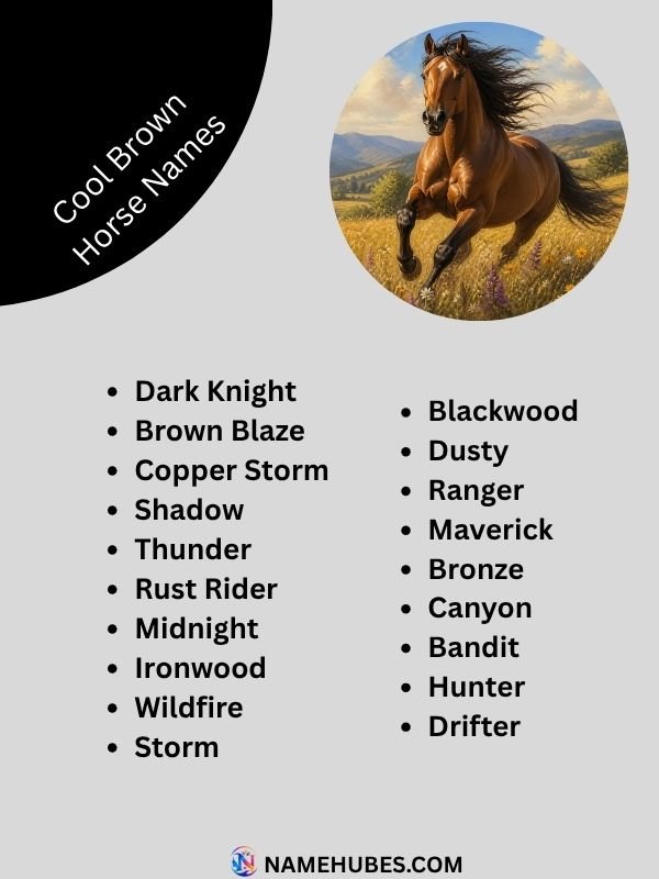cool-brown-horse-names