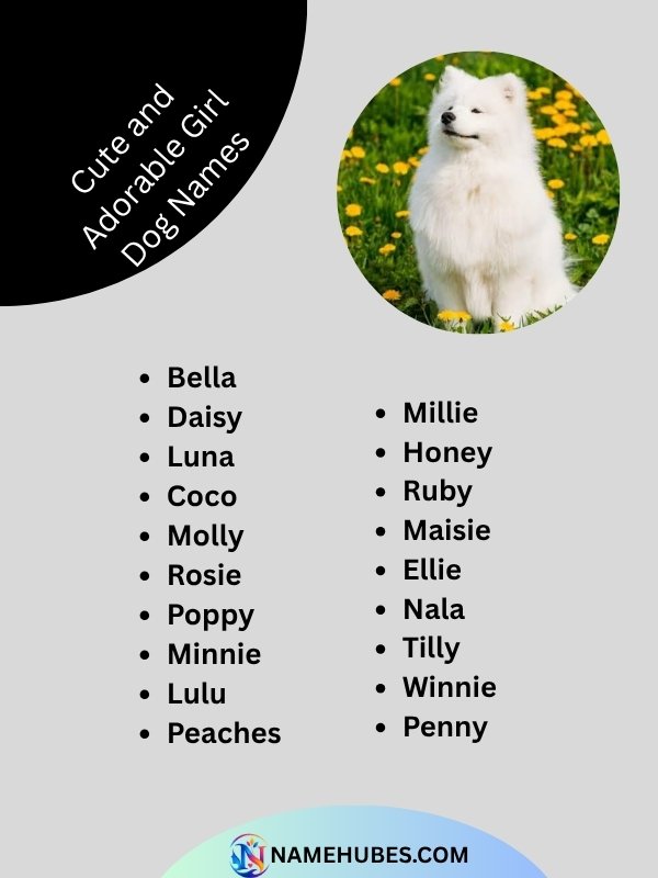 cute-and-adorable-girl-dog-names