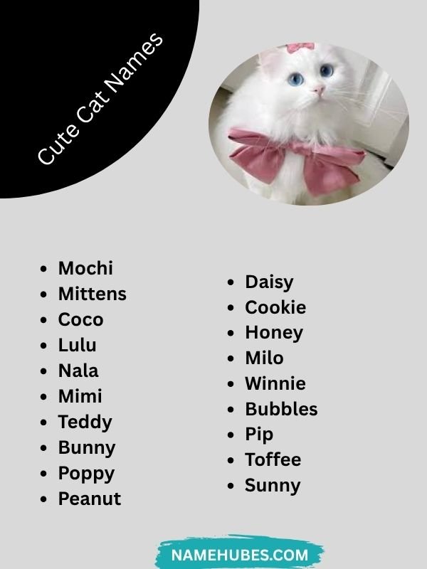 cute-cat-names