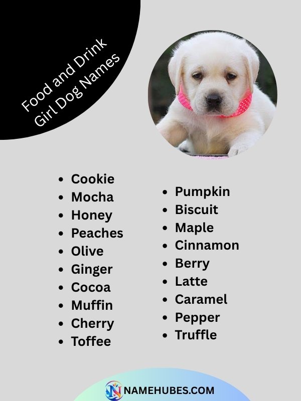 food-and-drink-girl-dog-names