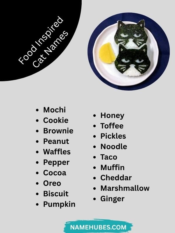 food-inspired-cat-names