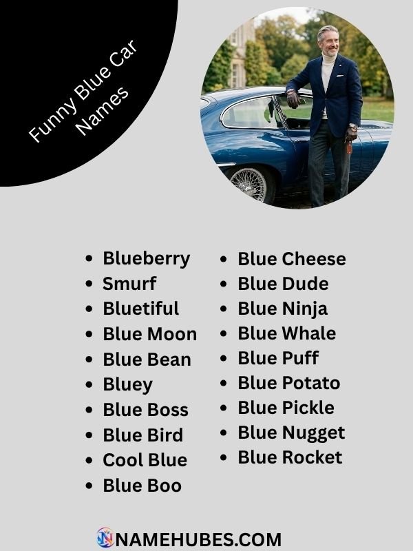 funny-blue-car-names