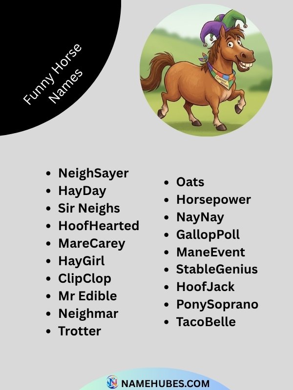 funny-horse-names