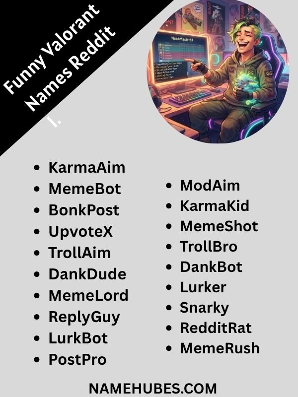 funny-valorant-names-reddit