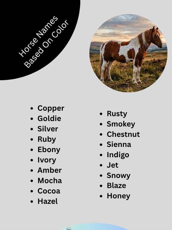horse-names-based-on-color