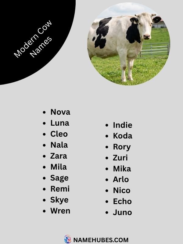 modern-cow-names