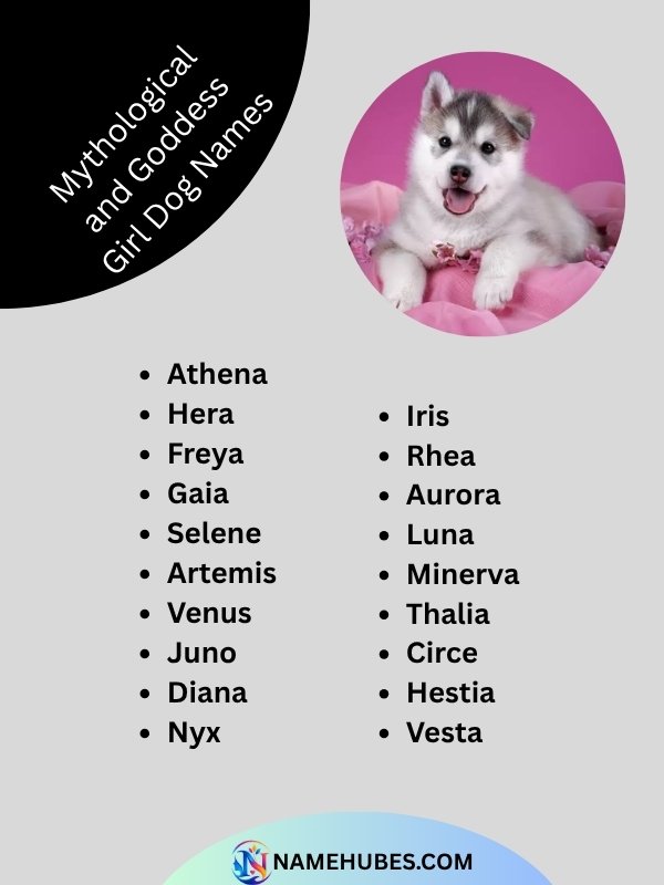 mythological-and-goddess-girl-dog-names