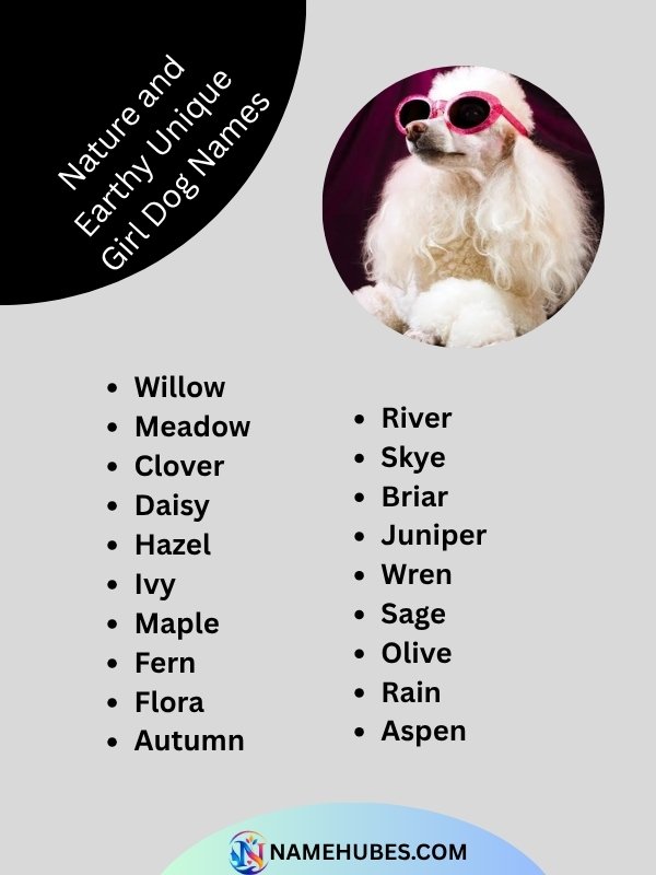 nature-and-earthy-unique-girl-dog-names