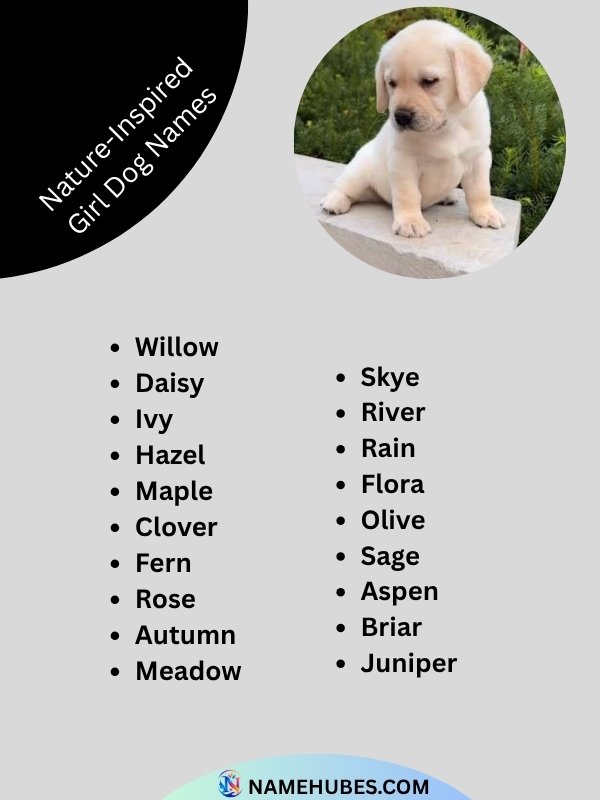 nature-inspired-girl-dog-names