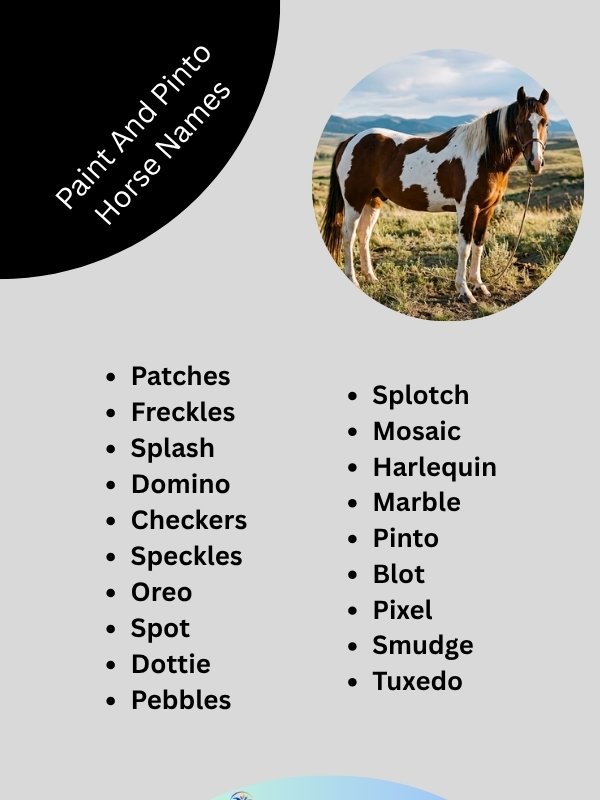 paint-and-pinto-horse-names
