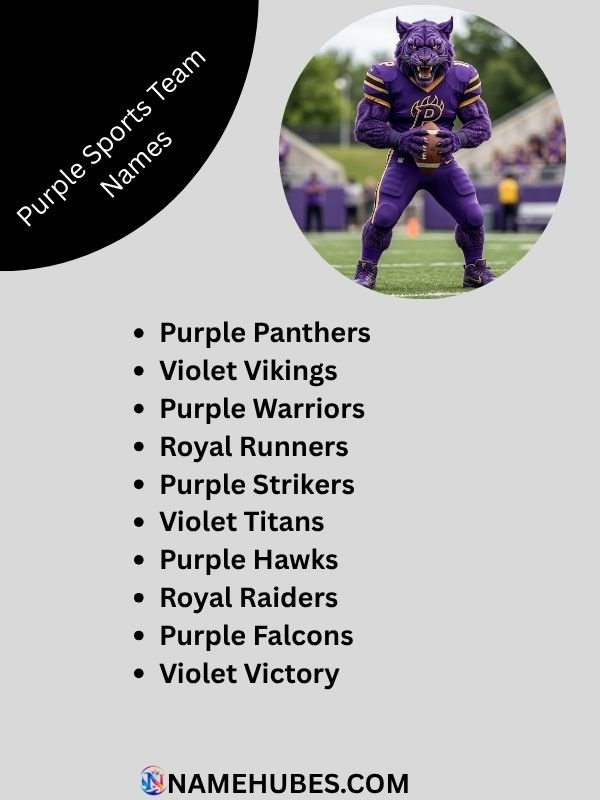 purple-sports-team-names