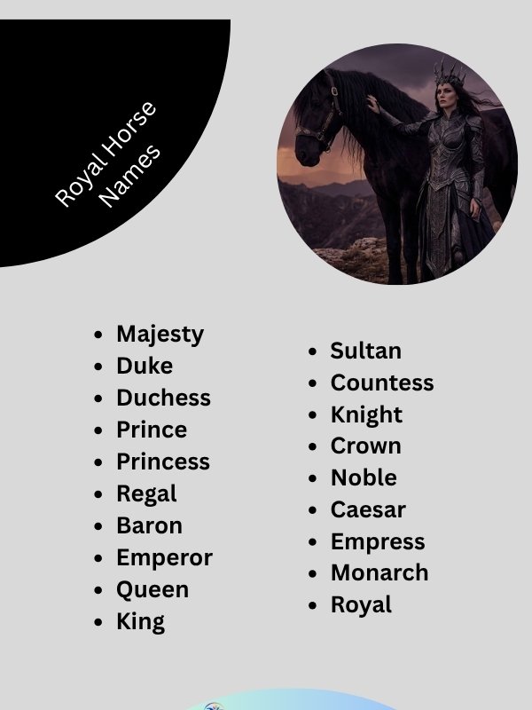 royal-horse-names