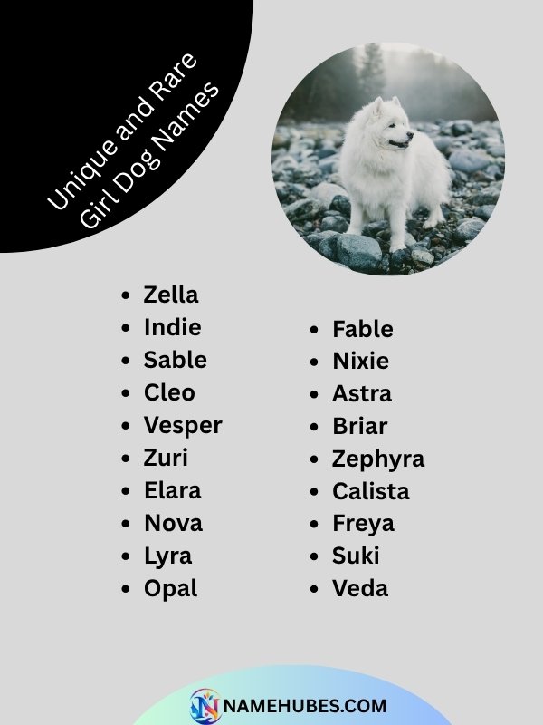 unique-and-rare-girl-dog-names
