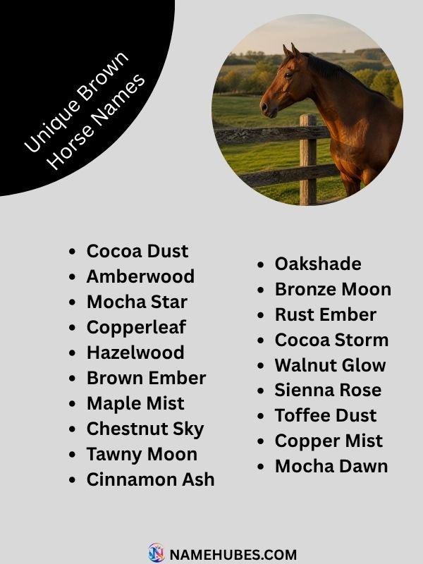 unique-brown-horse-names