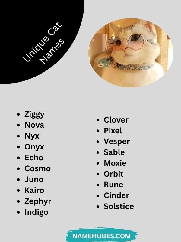 unique-cat-names