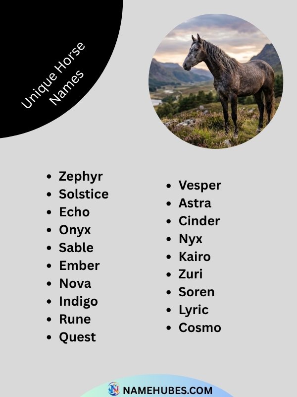 unique-horse-names