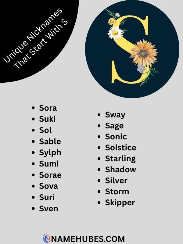 unique-nicknames-that-start-with-s