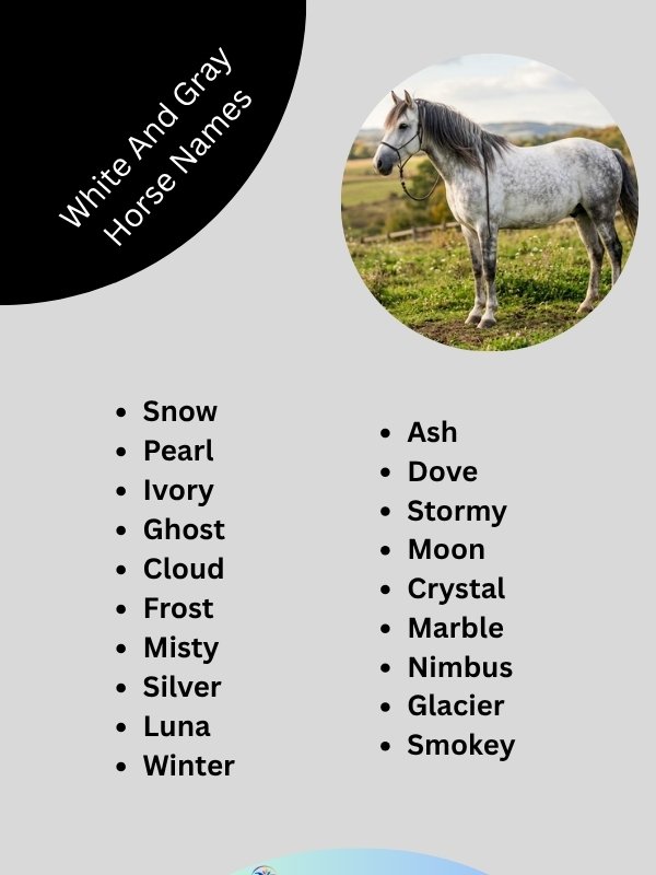 white-and-gray-horse-names