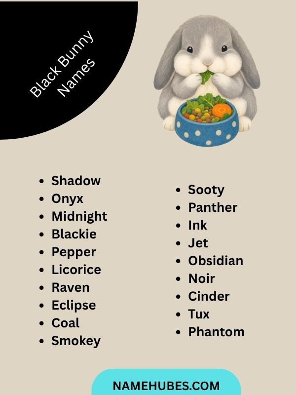 Black Bunny Names