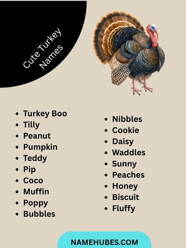 Cute Turkey Names
