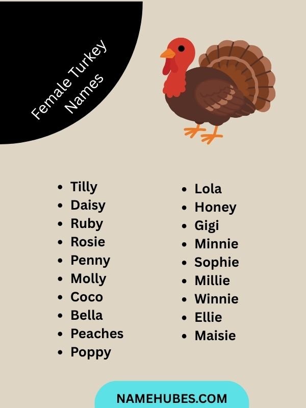 Female Turkey Names
