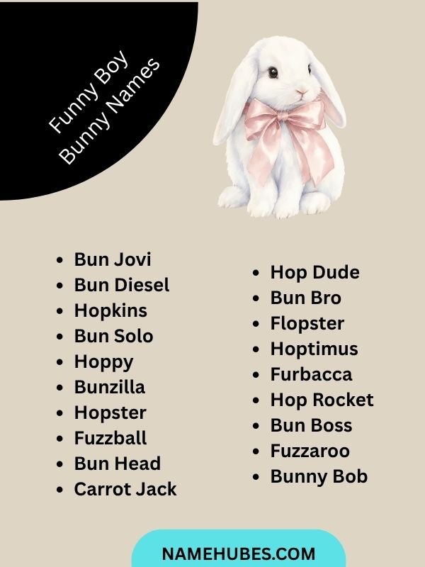 Funny Boy Bunny Names