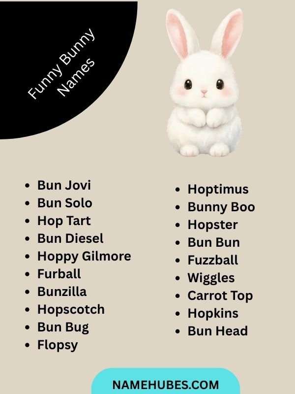 Funny Bunny Names
