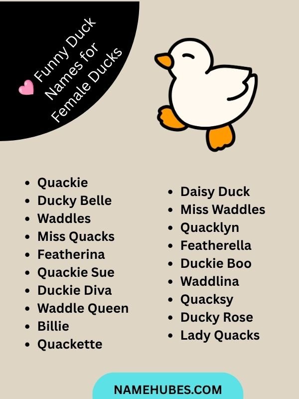  Funny Duck Names for Female Ducks