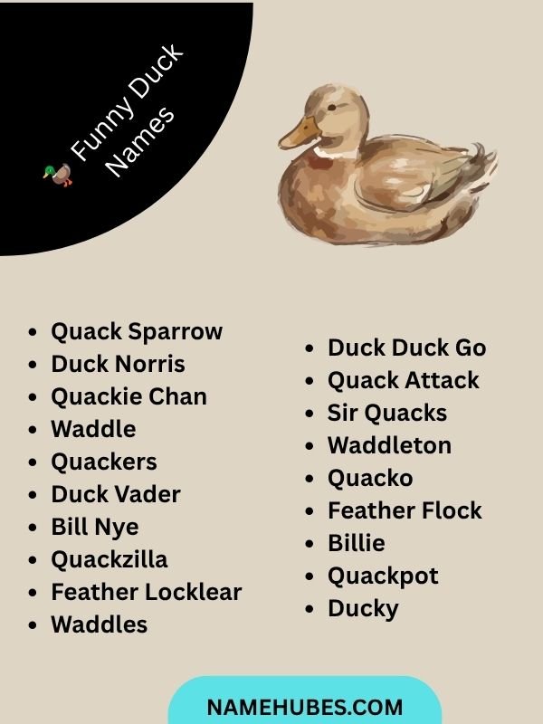  Funny Duck Names