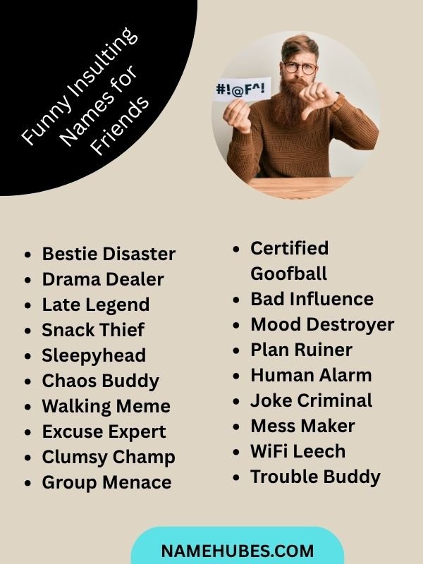Funny Insulting Names for Friends