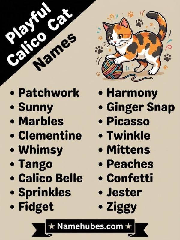 Playful Calico Cat Names