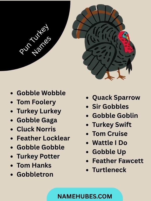 Pun Turkey Names
