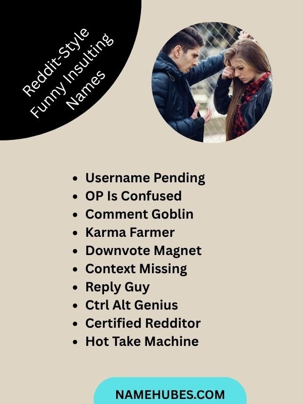 Reddit-Style Funny Insulting Names