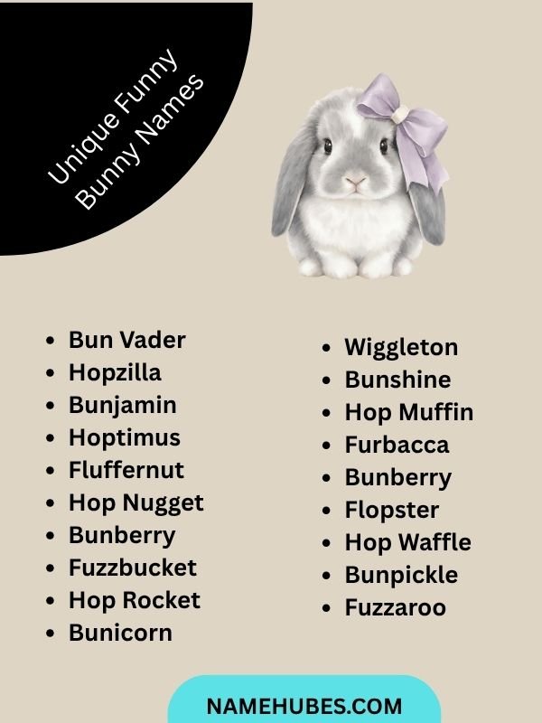 Unique Funny Bunny Names