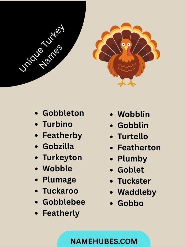 Unique Turkey Names